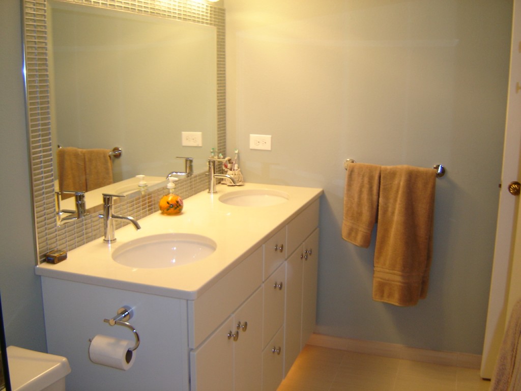 Litwin Guest Bath, Remodel, Denver, CO Schuster Design Studio, Inc